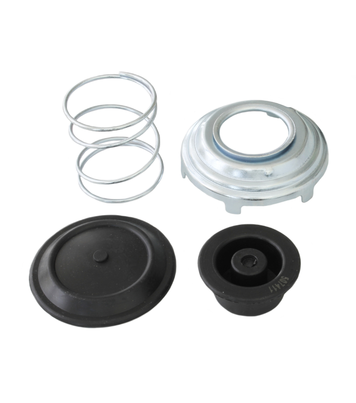 UBG8006 - Kit ReparaÇao Bomba Gasoleo ( Purflux ) 